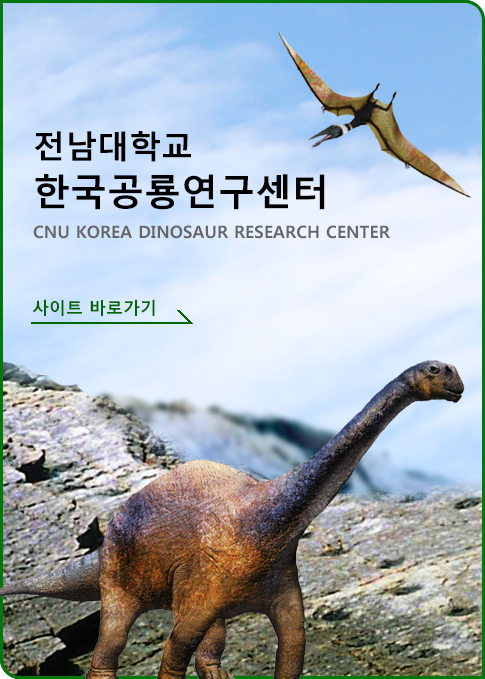 전남대학교 한국공룡연구센터 바로가기